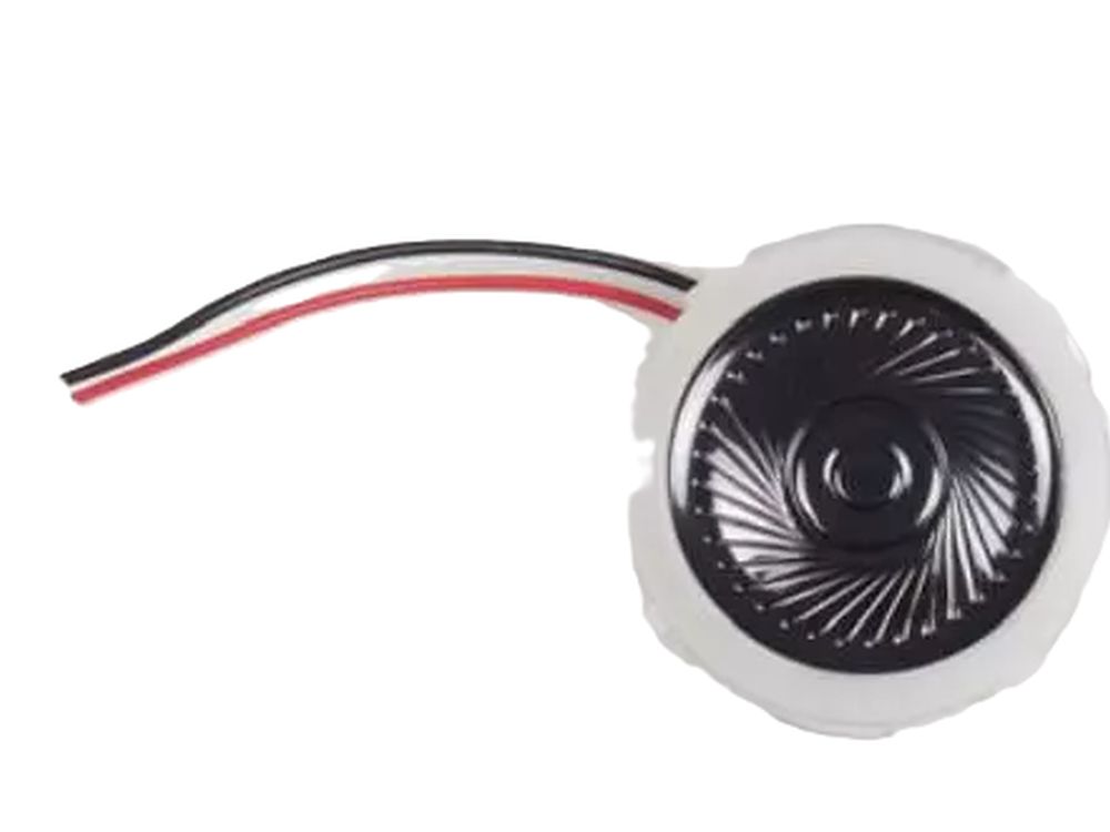 2N® IP Force and Safety - speaker 1W