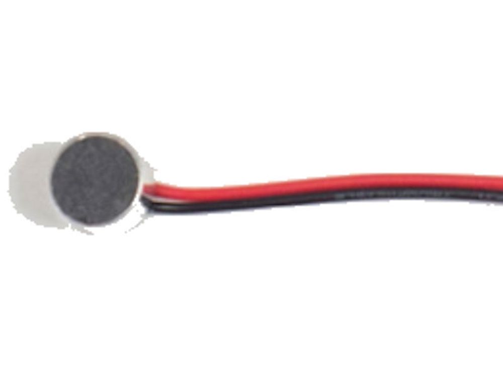 2N® IP Force and Safety - microphone