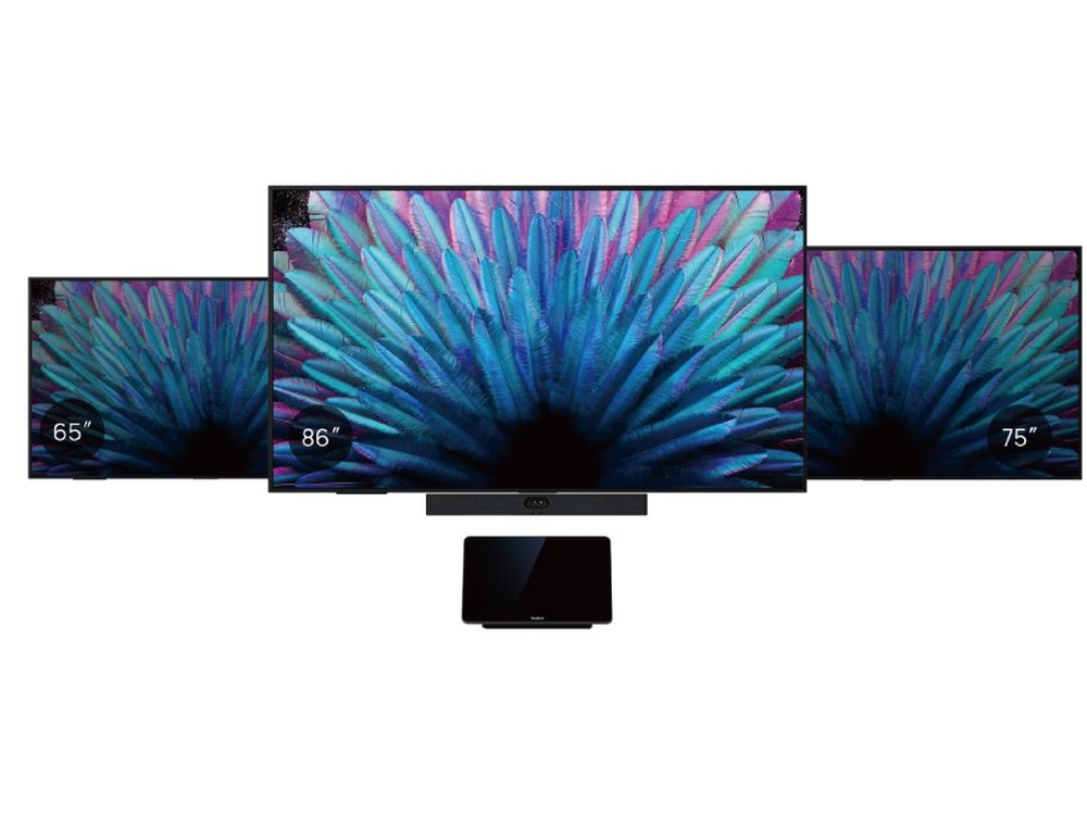 Meetingdisplay 65 inch MD65